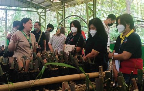 palms and bamboo bataan prices|Bataan bamboo product maker gets biggest DTI grant .